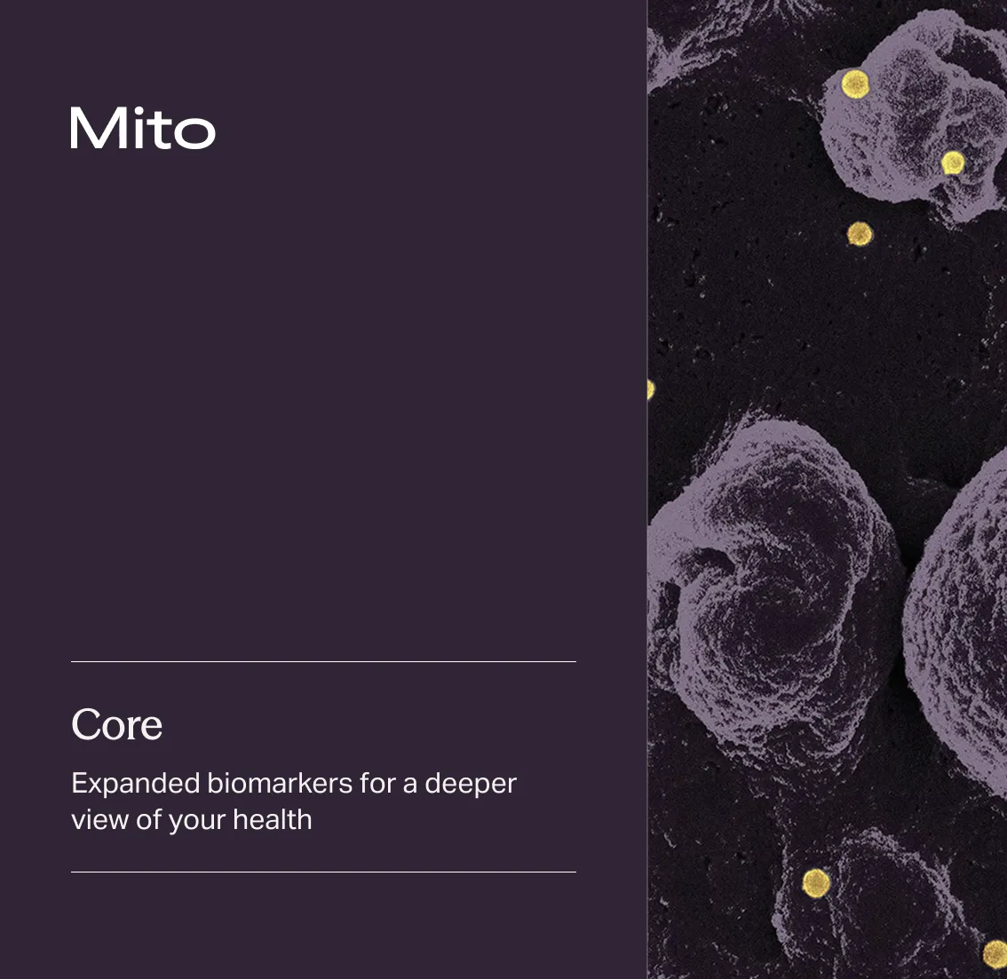Mito Core Panel