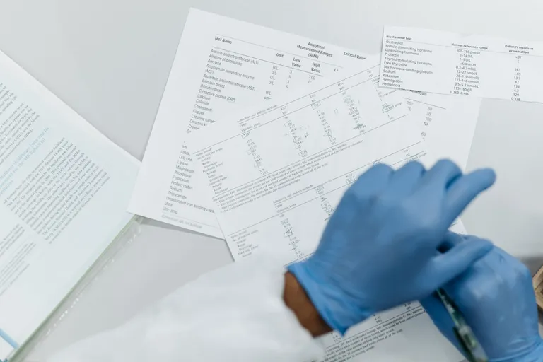 Marek Health vs. Mito Health: Compare Pricing and Value