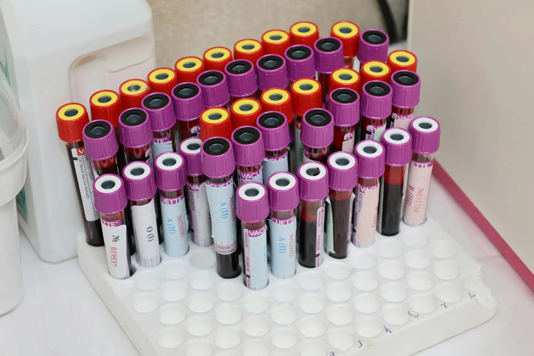 What Are the Best Biomarkers to Track for Longevity