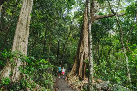 Two people walking along a narrow dirt path through a dense forest