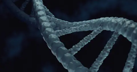 How Much Does Genetic Testing Cost? 11 Whole-Genome Sequencing and DNA Tests Compared