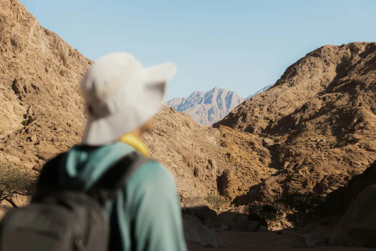 A hiker in a sun hat with a backpack, seen from behind, looking out at rocky desert mountains.