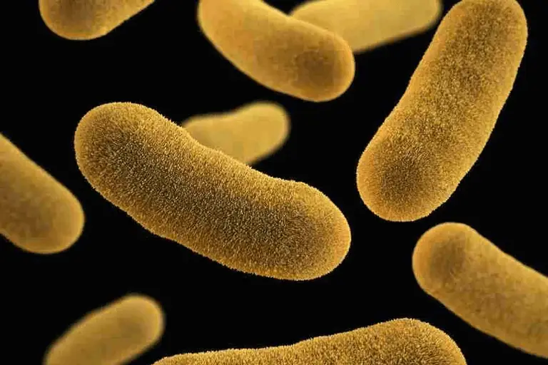 Fueling Your Life: The Vital Link Between Energy & Gut Health