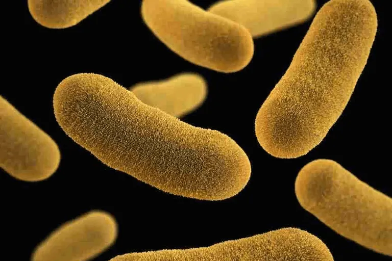 Fueling Your Life: The Vital Link Between Energy & Gut Health