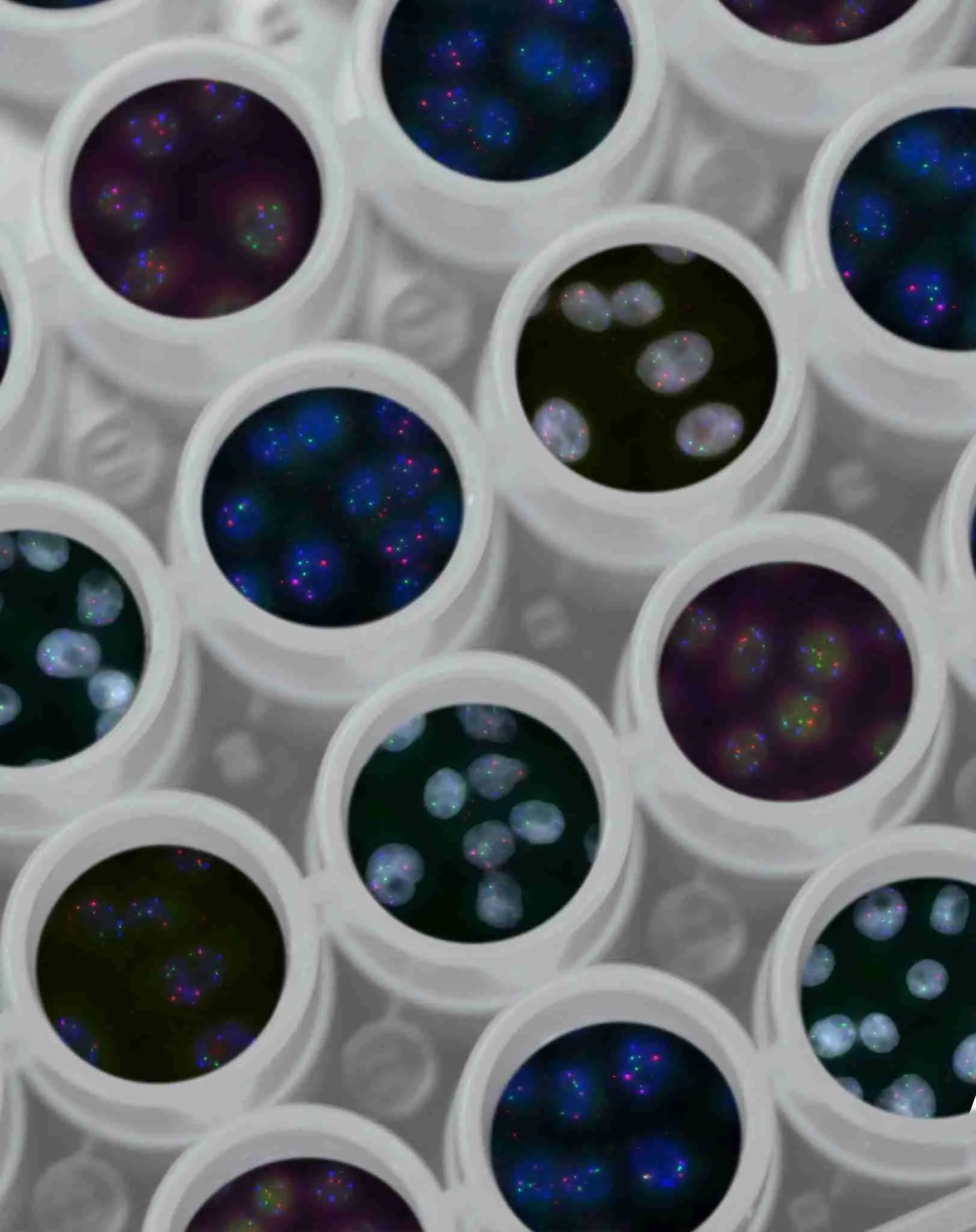 Body Clues Biomarkers and Fatigue