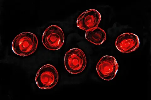 Mitochondria and Cancer: What Damage Does to Tumors and What You Can Do