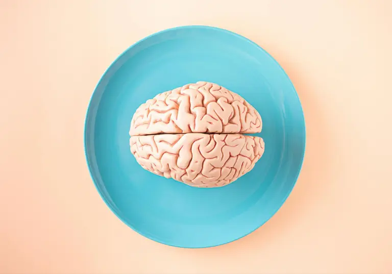Why the Gut–Brain Axis Matters for Health