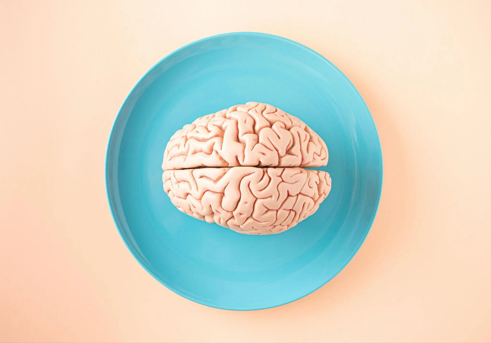 Why the Gut–Brain Axis Matters for Health