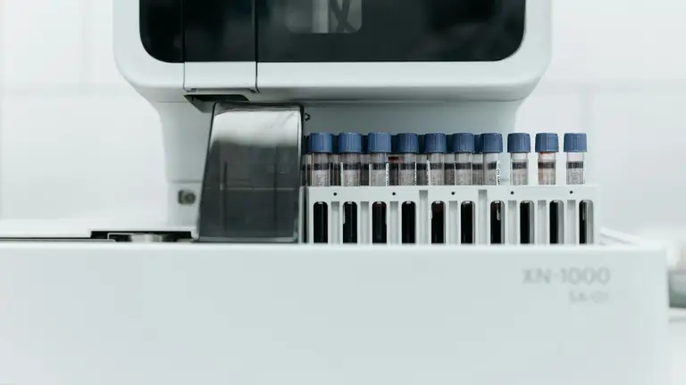 What Is a WBC Differential?