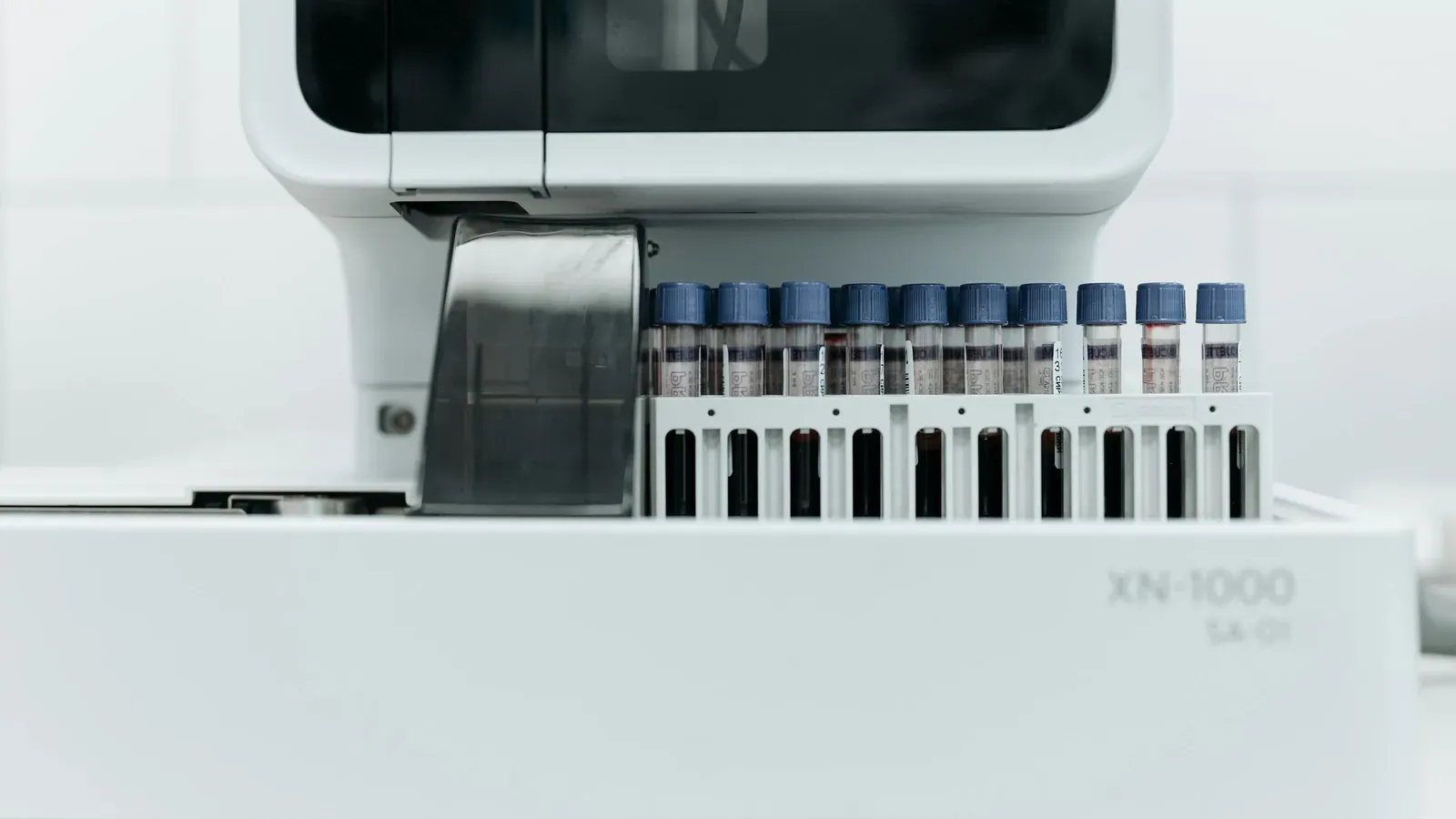 What Is a WBC Differential?