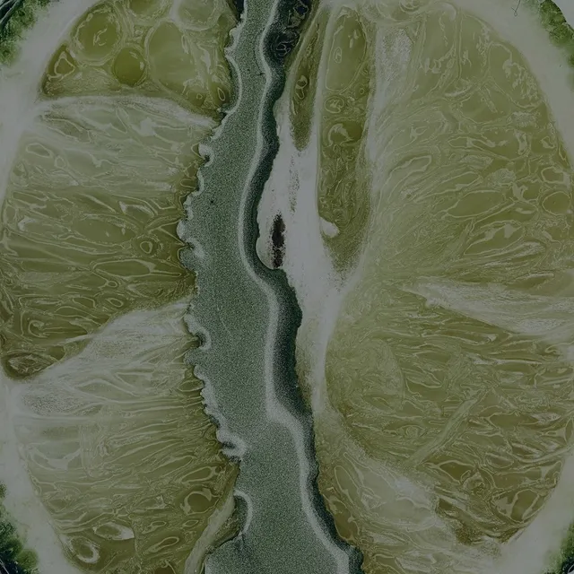 Citrus slice texture