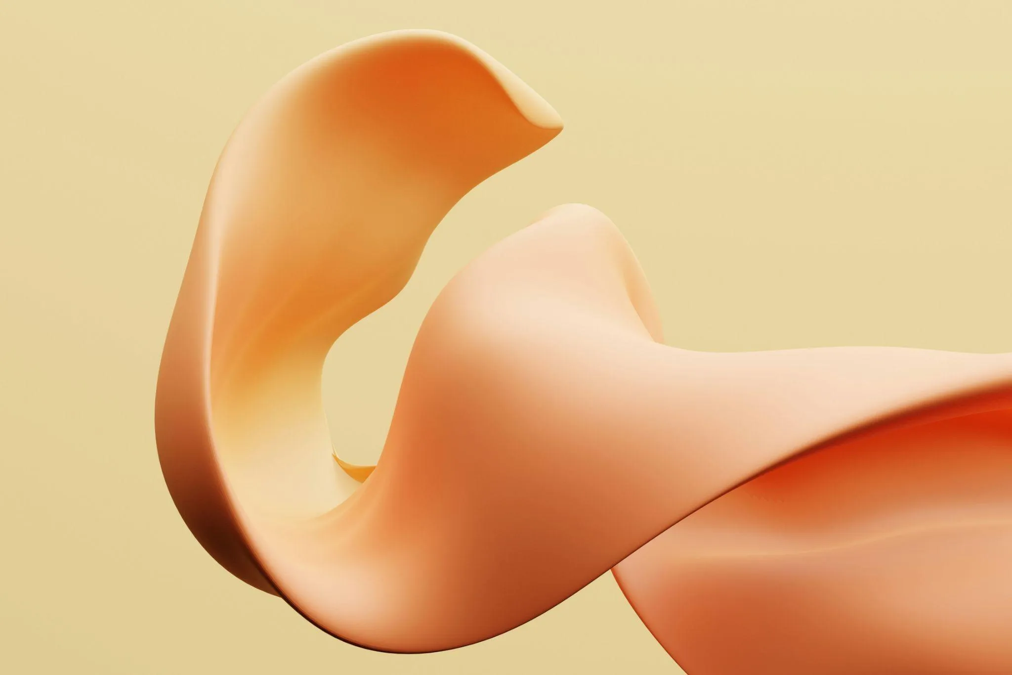 Vitamin A and Ear Health: What’s the Connection?