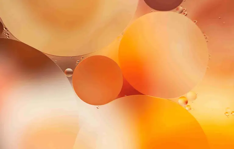A Deep Dive into Improving Metabolic Health and Longevity