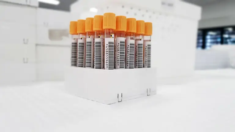 Lipid Panel Cost: What a Cholesterol Panel Costs Across Labs