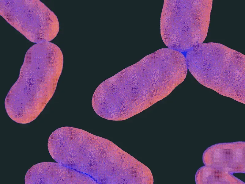 Gut Health Test