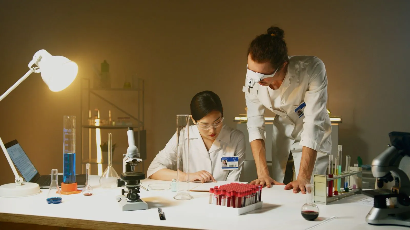 Dirt Cheap Labs vs. Mito Health: Compare Pricing and Value