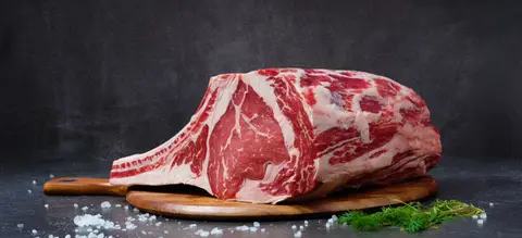 Carnivore diet blood biomarkers and what to monitor
