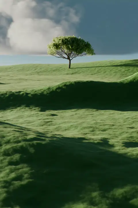 A lone tree on rolling green hills