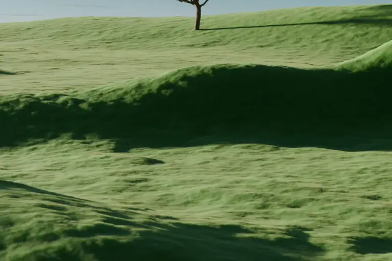 A lone tree on rolling green hills