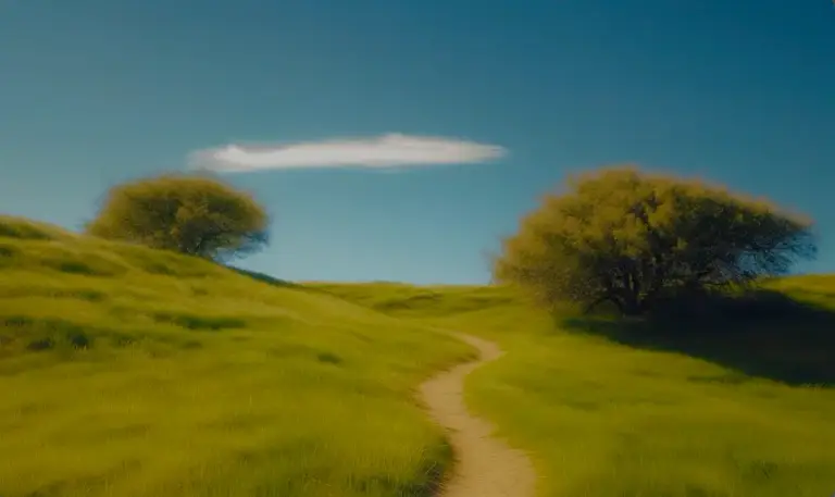 A footpath winding through sunlit green hills under an open blue sky