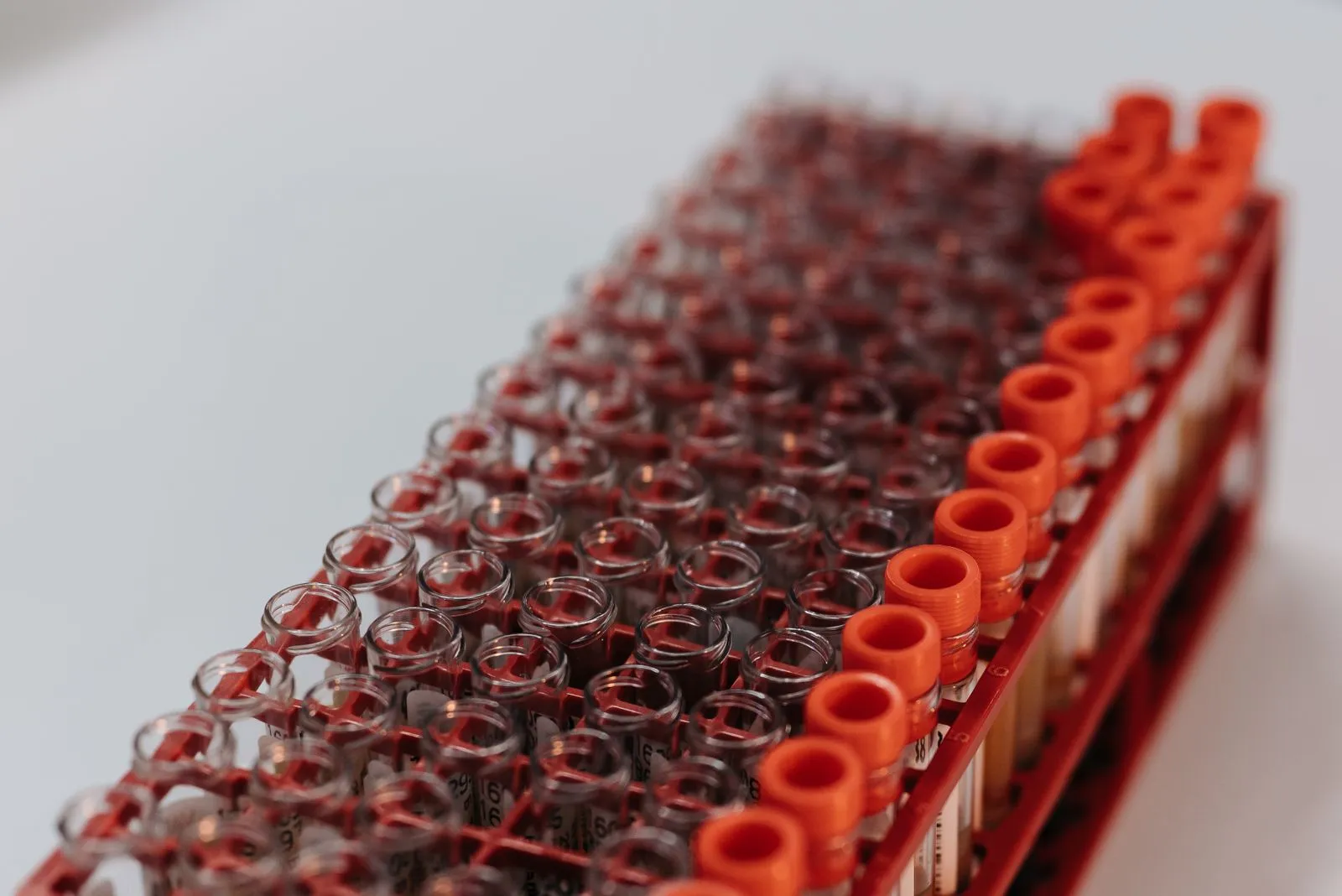 How Much Does a Blood Test Cost? 29 Common Tests Compared Across 14 Labs