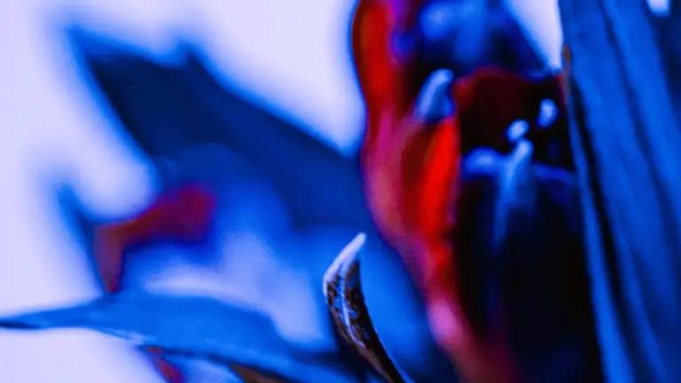 The ABCs of Methylene Blue: Applications, Benefits, and Considerations