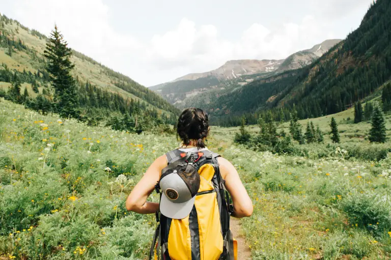 A hiker with a yellow backpack walking through a green mountain meadow.