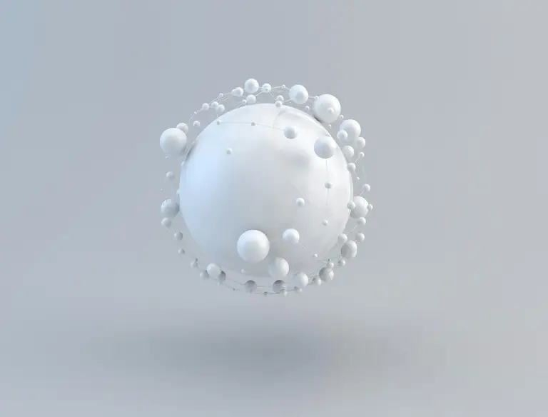 What Are White Blood Cells