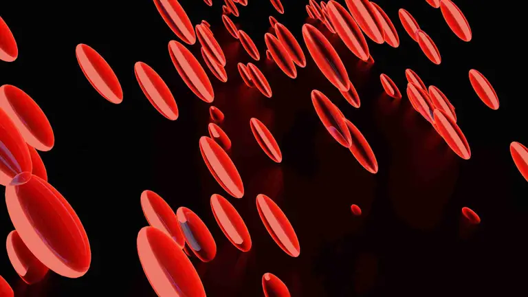 What is Total Cholesterol?