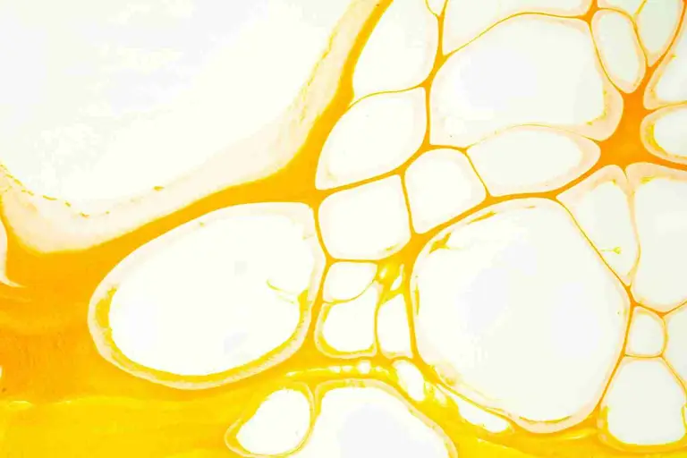 Plant-Based Oils Source of Unsaturated Fat