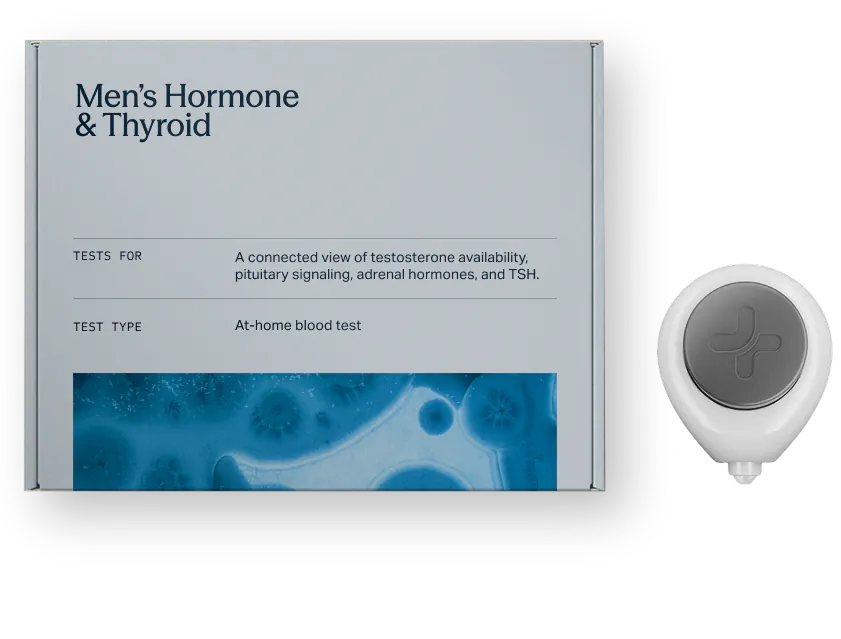 At-Home Men’s Hormone and Thyroid Test Kit at-home collection kit