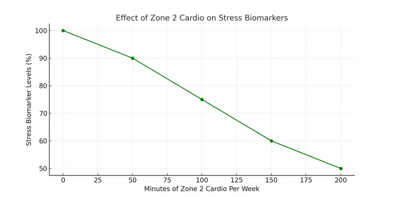 Zone 2 Cardio