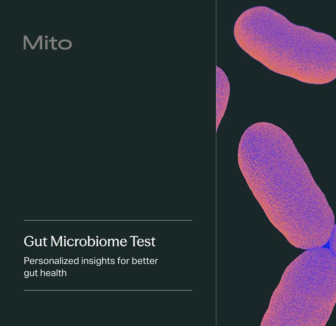 Gut Health Test Kit