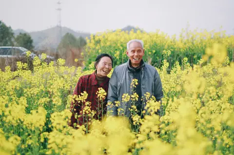 Older man and woman laughing together in a field of yellow flowers