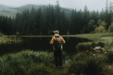 A hiker in a yellow jacket stands at the edge of a still lake below a misty pine forest.