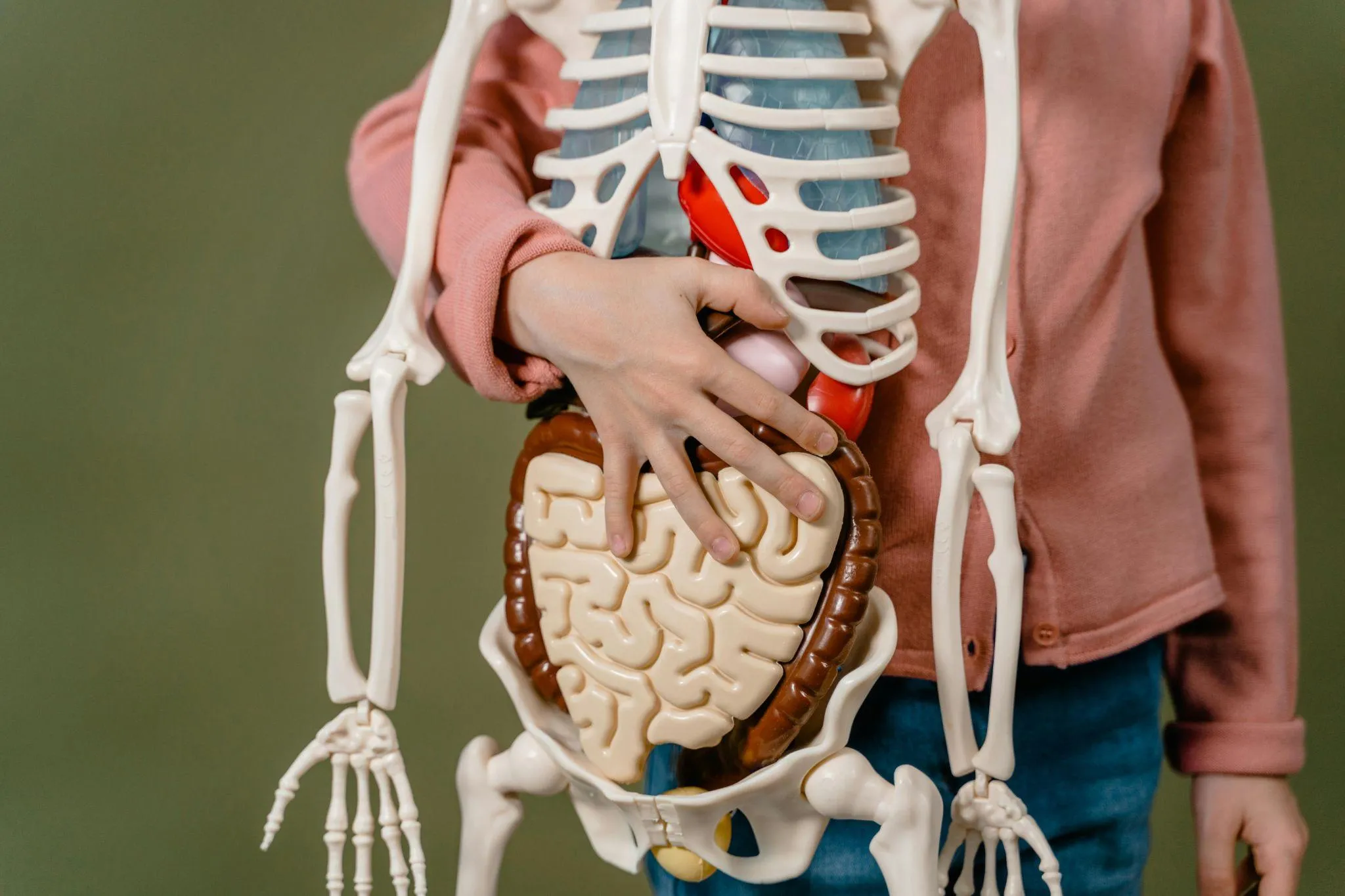 Benefits of Probiotics for Common Gut Conditions
