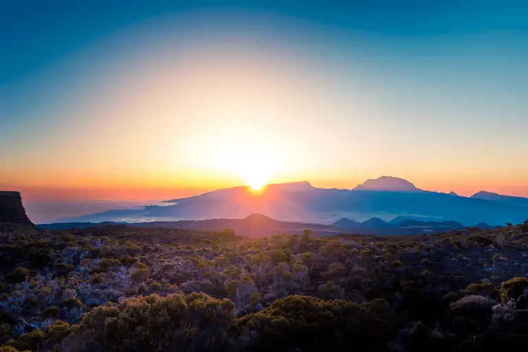 Unlock the Power of Morning Sunlight: 4 Ways It Transforms Your Health