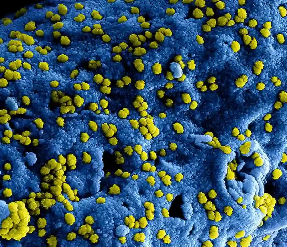 Unmasking the Culprits: How Hidden Food Allergies Wreck Your Health