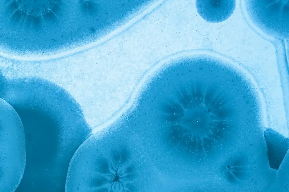 Abstract blue microscopy texture