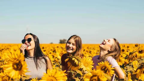 The Key to Unlocking Vitamin D’s Full Potential