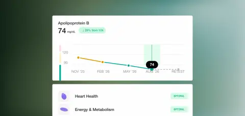 A large Mito dashboard emerging from the bottom edge, showing an apolipoprotein B trend falling to 74 mg/dL and health category results