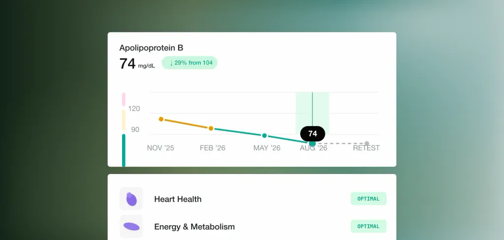 A large Mito dashboard emerging from the bottom edge, showing an apolipoprotein B trend falling to 74 mg/dL and health category results