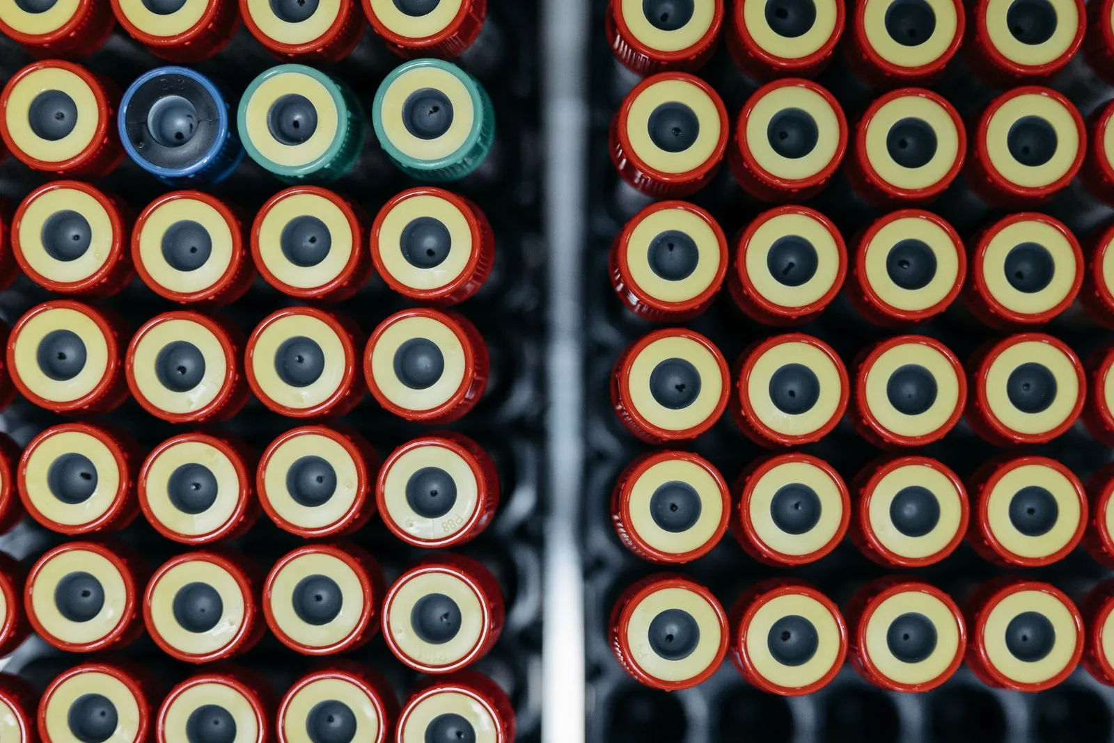 HealthLabs vs. Mito Health: Compare Pricing and Value