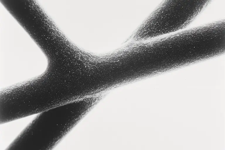 Your longevity guide to Total Bilirubin.