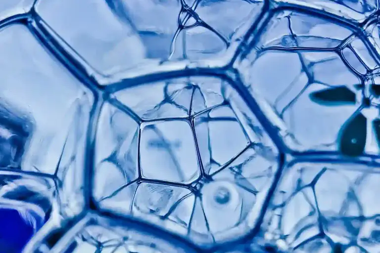 Unlocking Longevity and Energy: The Power of NAD+ Supplementation