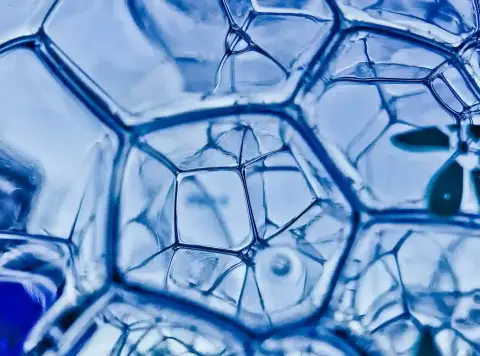 Unlocking Longevity and Energy: The Power of NAD+ Supplementation