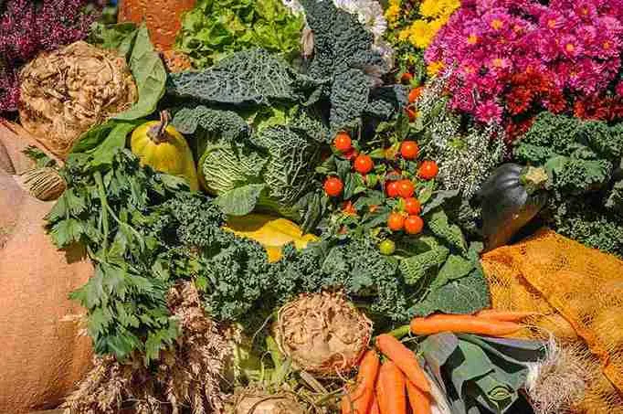 heart-healthy diet for managing lipoprotein a risk