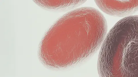 The Hidden Hormonal Blockers of Fat Loss