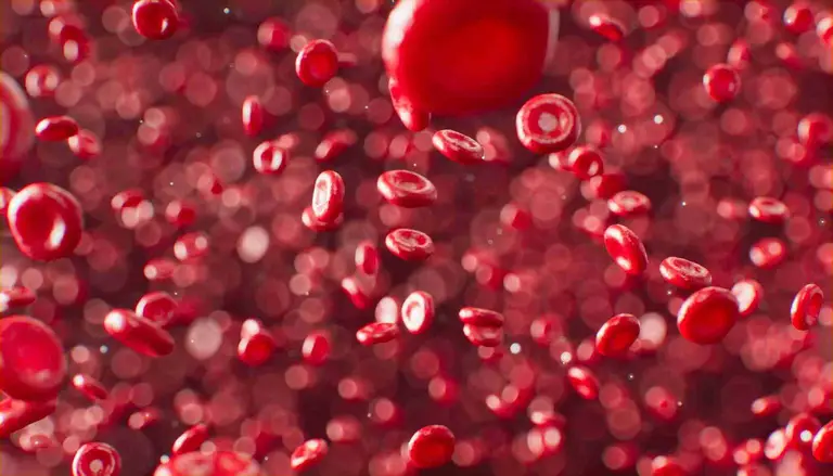 What Is Anemia, and How Does It Affect Your Muscles?