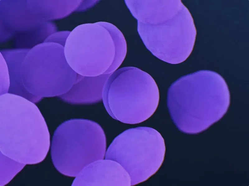 Advanced Insulin Resistance Test